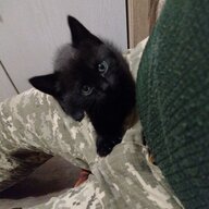 Владислав Залужний♡