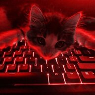 Cаша Медвідь