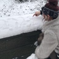 Брітні Рейвенс