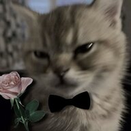 *Томас Полсон*