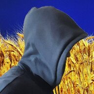 Тінь Горд
