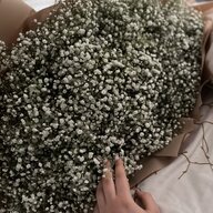 Анна Золотоо