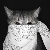 Маркус Бергман
