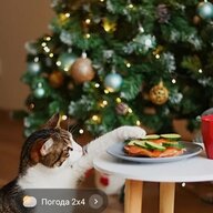 Олександр Державець