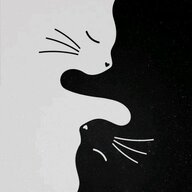 miss_lero_