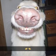 Вася Блатной ♡
