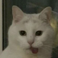 Денис Мучачас