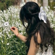 Анна Соколовська