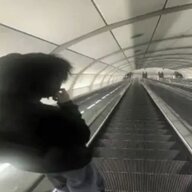 Вова Лорд