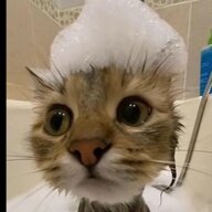 Захар Мельнич_123