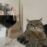 Нейт Харпер