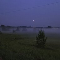 Даніель Вейд