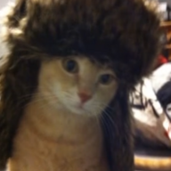 Яся Азан