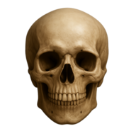 null