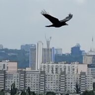 Богдан Моцюк
