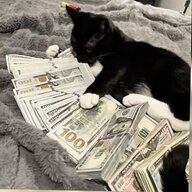 Максим Каштанчик