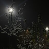 Софія Гарсія