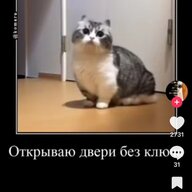 Діма Блак