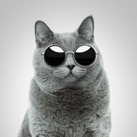 Назар Озгович