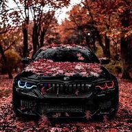 Хантер Скот