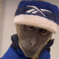 Dino_Sanchez