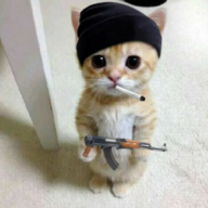 Саша Чайок