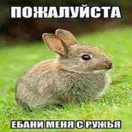 Макар макарон