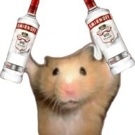 Лейла Ронин
