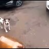 Cергій Будніченко
