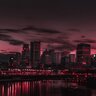 Террі Фрост