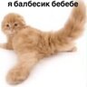 Гомер Сімпсон