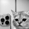 Dmitry_Nagornyy