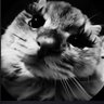 Котя Ротшильд