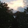 Андрій Полуйко