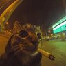 Остін Ріверс