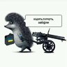 Андрій Костолом
