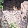 Бенжомін Франклін