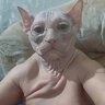 Kyrylo_Crimson