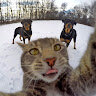 Артем Мілер