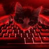 Cаша Медвідь