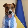 Денис Олександрович