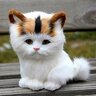 Артем Куций