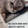 Олександр Бандерович