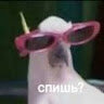 Максим Ярмоленкоо