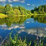 Vadim_Schneider