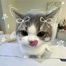 Микoла Дайшенко