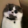 Максим Одеський