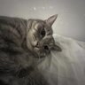 Олександр Кетсу ♡