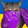 Анатолій Ткач