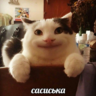 морсік